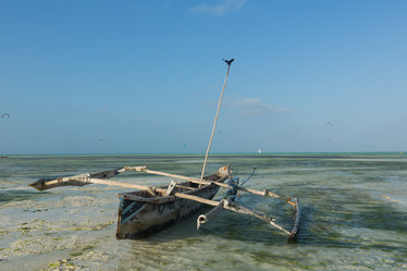 Similar image 21974339