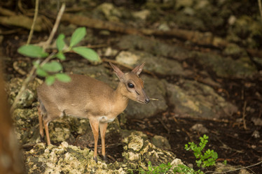 Similar image 21974341