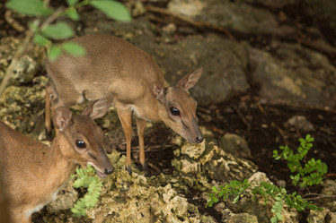 Similar image 21974343