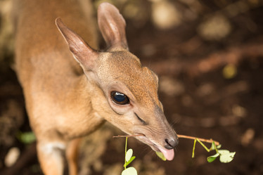 Similar image 21974345