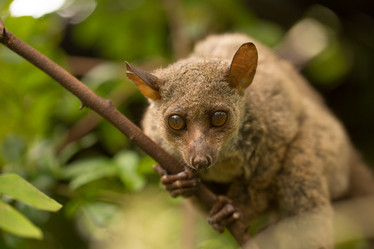 Similar image 21974349