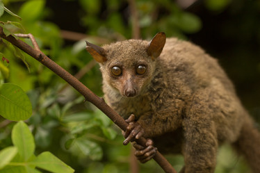 Similar image 21974353