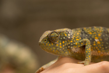 Similar image 21974355