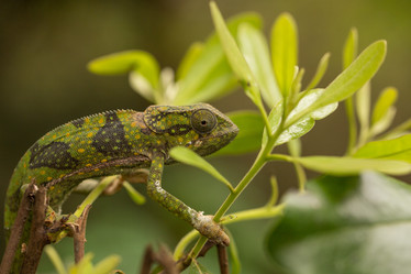 Similar image 21974357