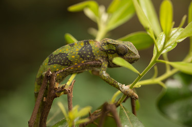 Similar image 21974359