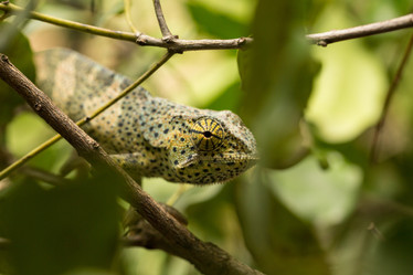 Similar image 21974361