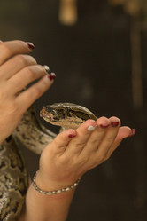 Similar image 21974363