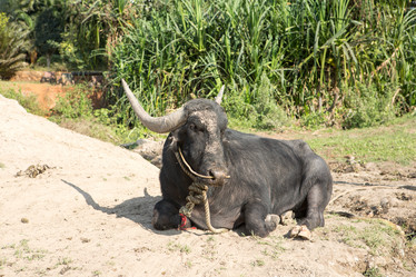 Similar image 21974367