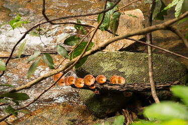 Similar image 21974368