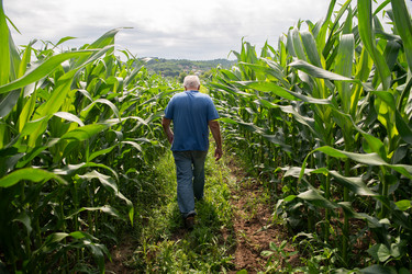 Similar image 21966697