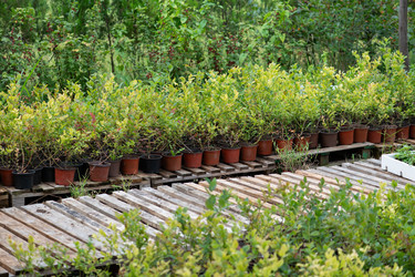 Similar image 21967338