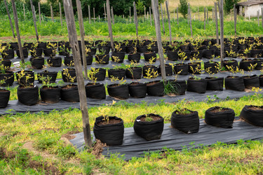 Similar image 21968898