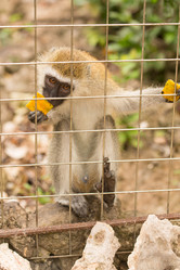 Similar image 21974369