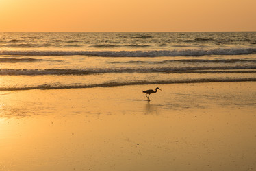 Similar image 21974387