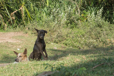 Similar image 21974389