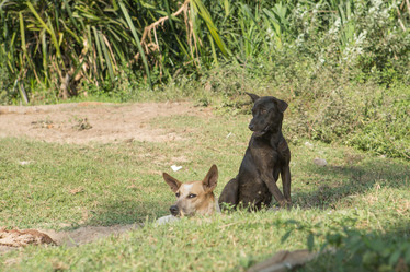 Similar image 21974391