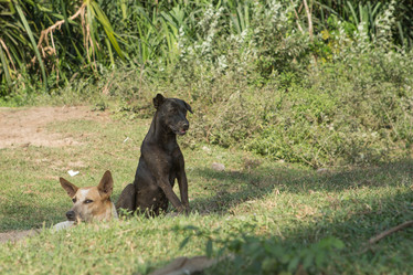 Similar image 21974393