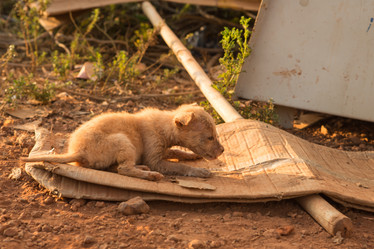 Similar image 21973869