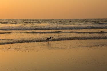 Similar image 21973870