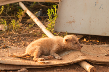 Similar image 21973872