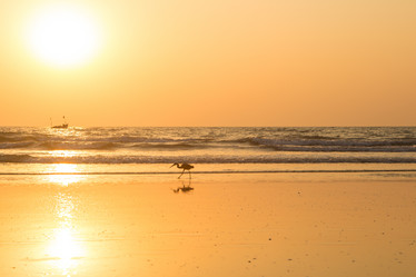 Similar image 21973873