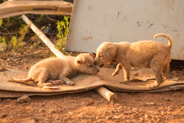 Similar image 21973875