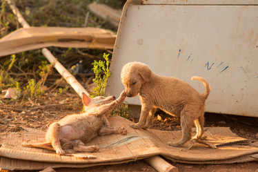 Similar image 21974123