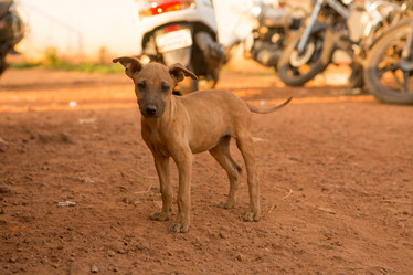 Similar image 21974125