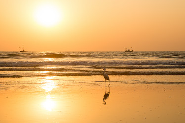 Similar image 21974126