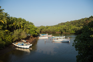 Similar image 21974127