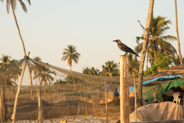 Similar image 21974128