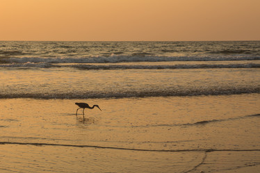 Similar image 21974130