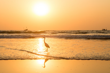 Similar image 21974131