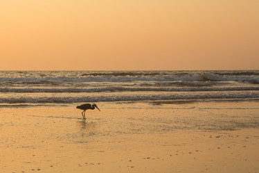 Similar image 21974133