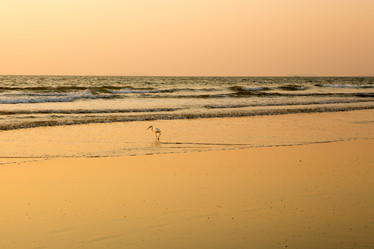 Similar image 21974136