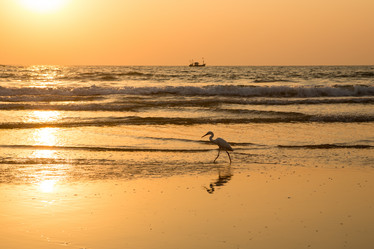 Similar image 21974140