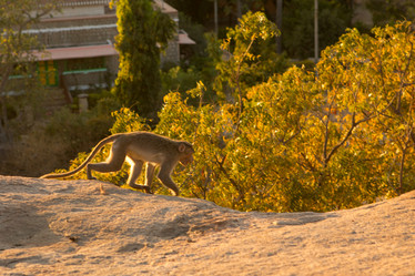 Similar image 21974149