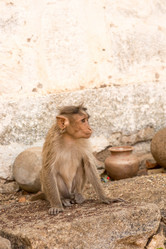 Similar image 21974155