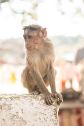 Similar image 21974156