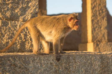 Similar image 21974161