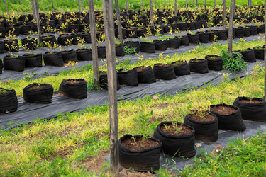 Similar image 21966698