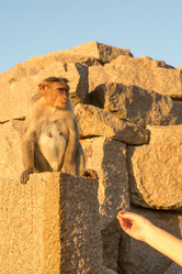 Similar image 21974167