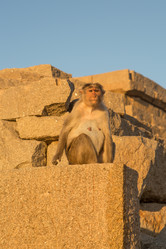 Similar image 21974168