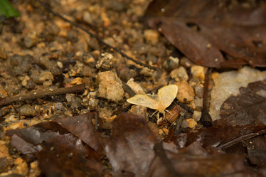 Similar image 21974172