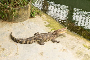 Similar image 21974173