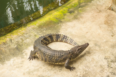 Similar image 21974176