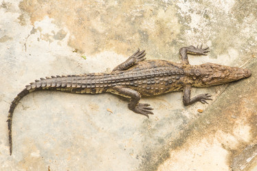 Similar image 21974177