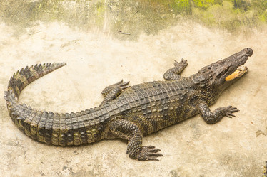 Similar image 21974178