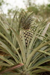 Similar image 21974183