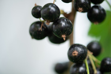 Similar image 21966592